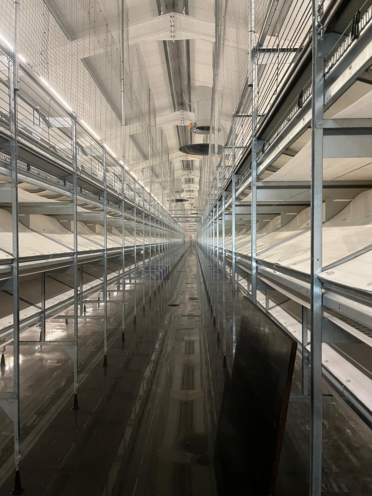 gallery grid image